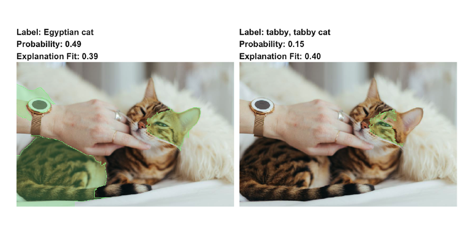 lime v0.4: The Kitten Picture Edition