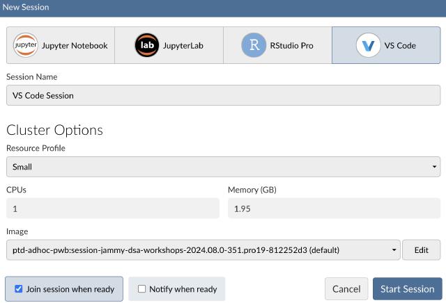 Posit Workbench - New Session Options