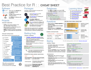 Best Practice for R