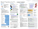 Best Practice for R