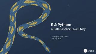 Sean Lopp & Lou Bajuk | R & Python: A Data Science Love Story | RStudio (2020)